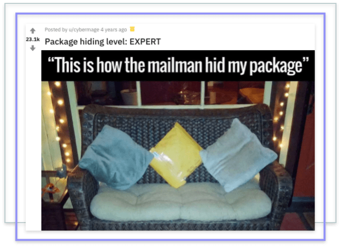 Image of package disguised as a pillow