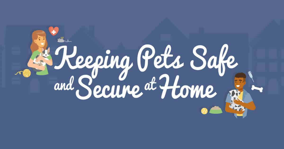 Keeping Pets Safe and Secure at Home
