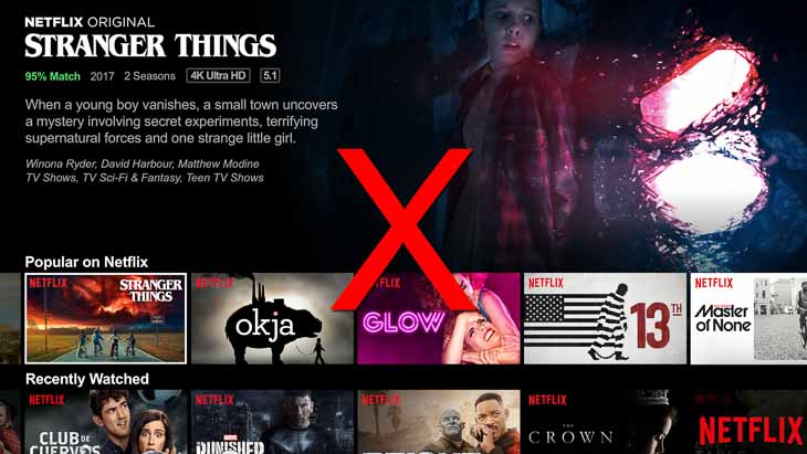 Streaming Netflix on Perfect Privacy 
