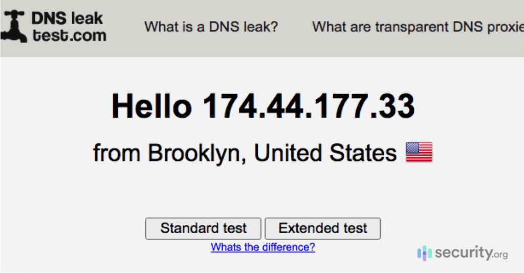 不使用 VPN 的 DNS 泄漏测试