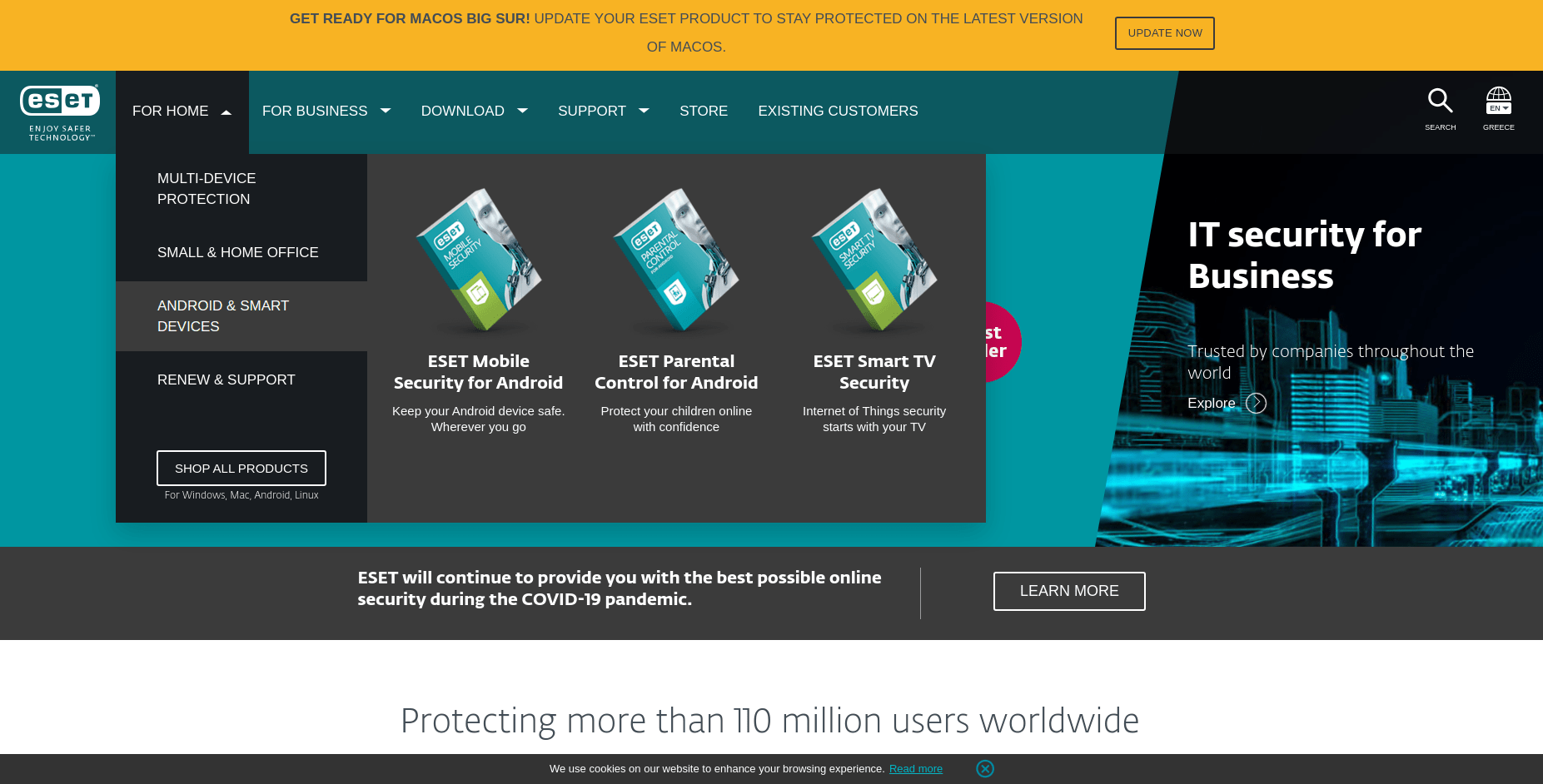 ESET Homepage