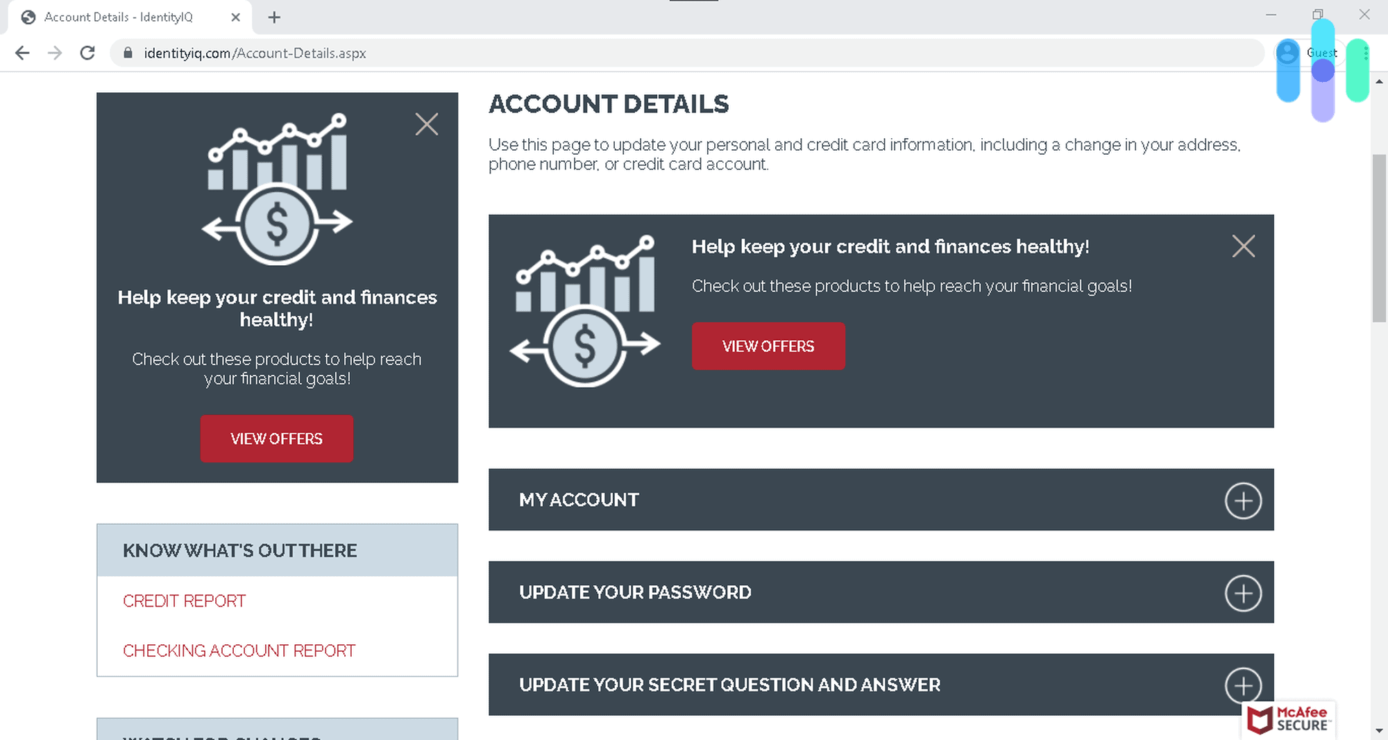 IdentityIQ Account Details