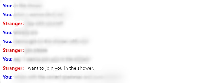 An example of the inappropriate things strangers say on Omegle An example of the inappropriate things strangers say on Omegle